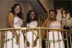 Wedding Capture