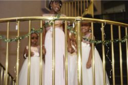 Wedding Capture